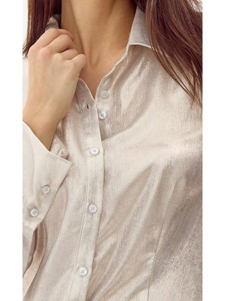 Belmont Metallic Button Down