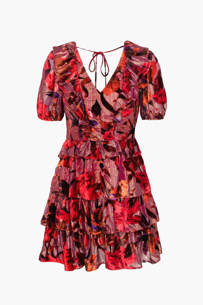 Khalia Burnout Velvet Dress